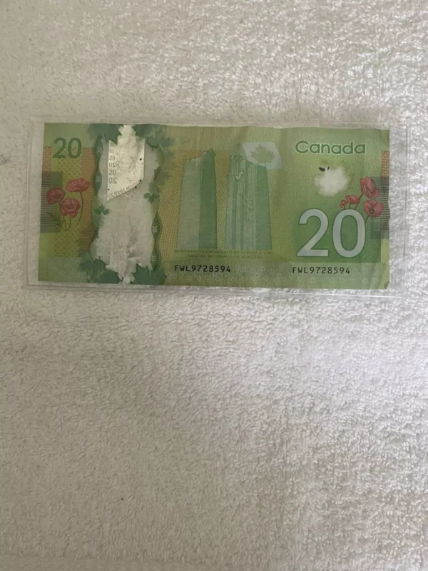Canadian 20 Dollar Bill - Image 2