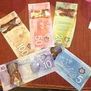canadian-50-dollar-bills